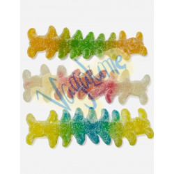 Ciempiés TROLLI