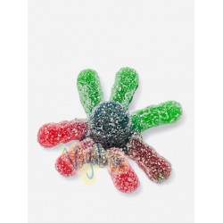 Pulpo pica FINI